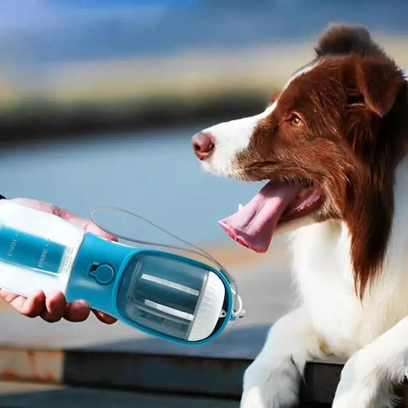 3 in 1 Portable Small Multi-functional Pet Water & Food Cup