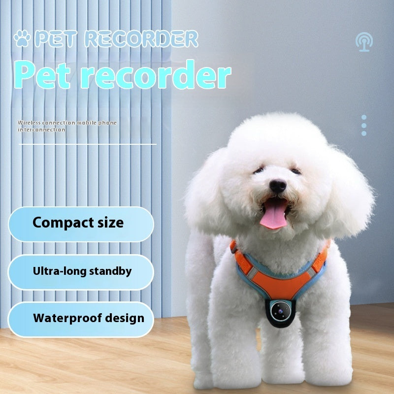 Pets Camera With Video Recorder & Tracker Collar Dogs And Cats