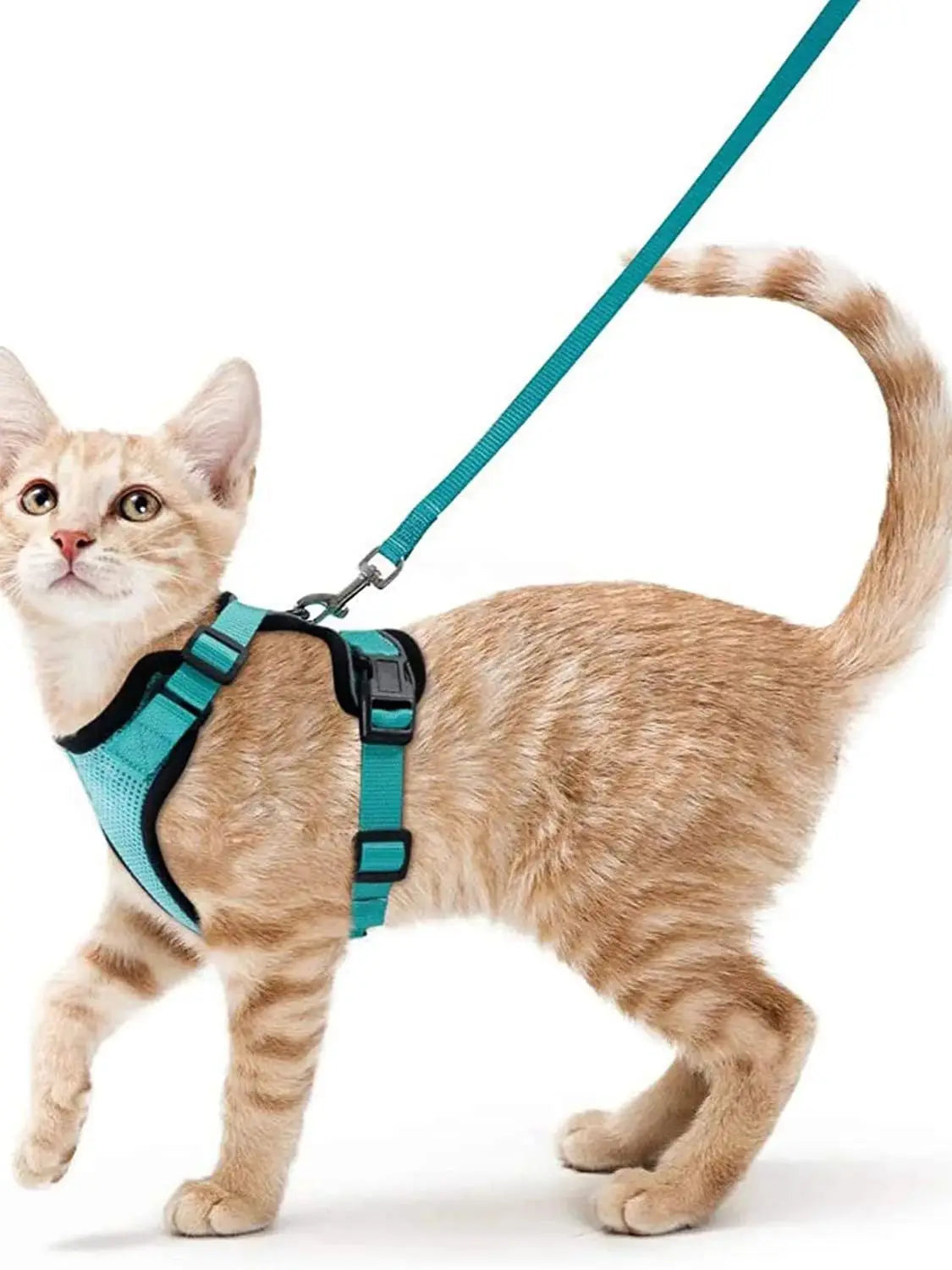 Cat Harness and Leash for Walking, Escape Proof Soft Adjustable
