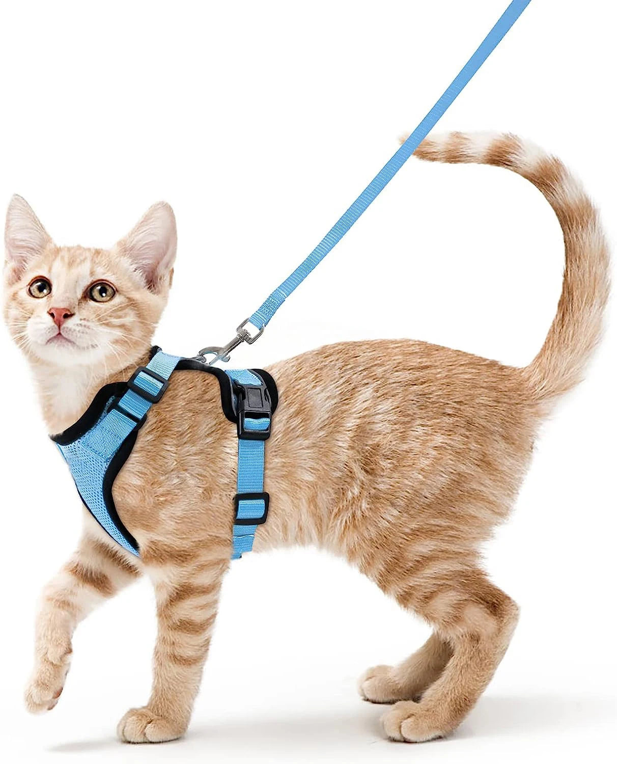 Cat Harness and Leash for Walking, Escape Proof Soft Adjustable