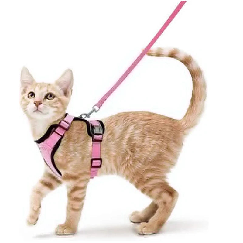 Cat Harness and Leash for Walking, Escape Proof Soft Adjustable