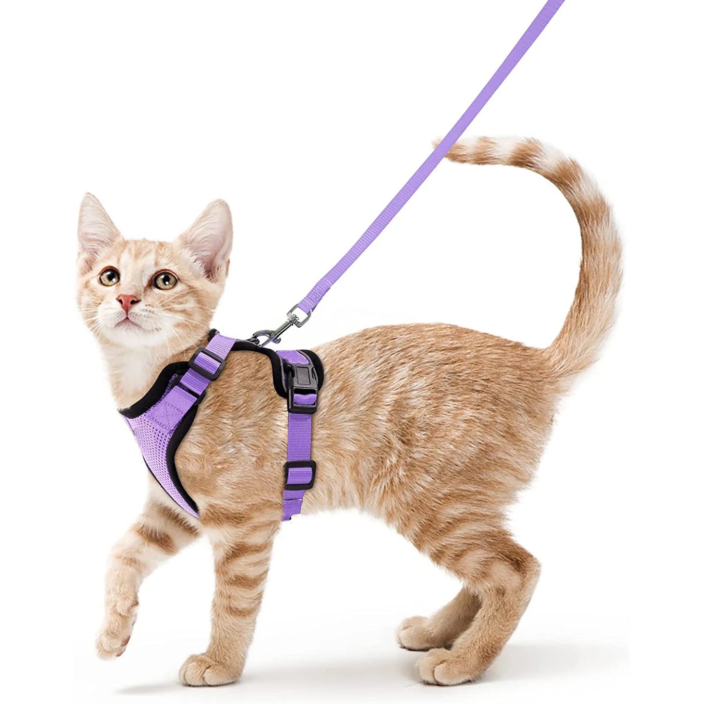 Cat Harness and Leash for Walking, Escape Proof Soft Adjustable