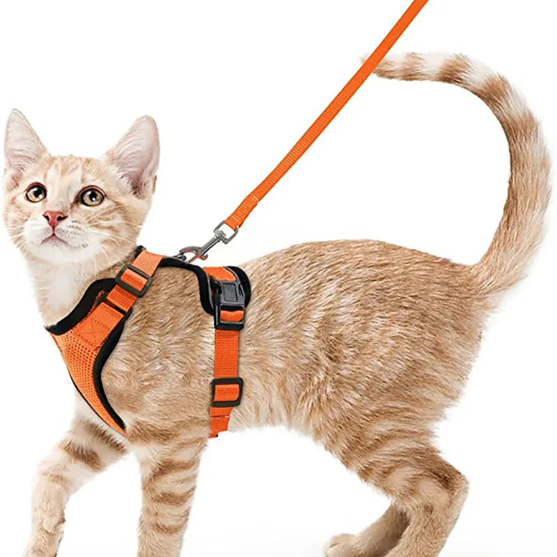 Cat Harness and Leash for Walking, Escape Proof Soft Adjustable