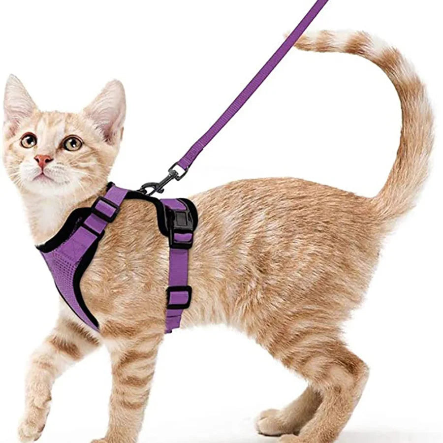 Cat Harness and Leash for Walking, Escape Proof Soft Adjustable