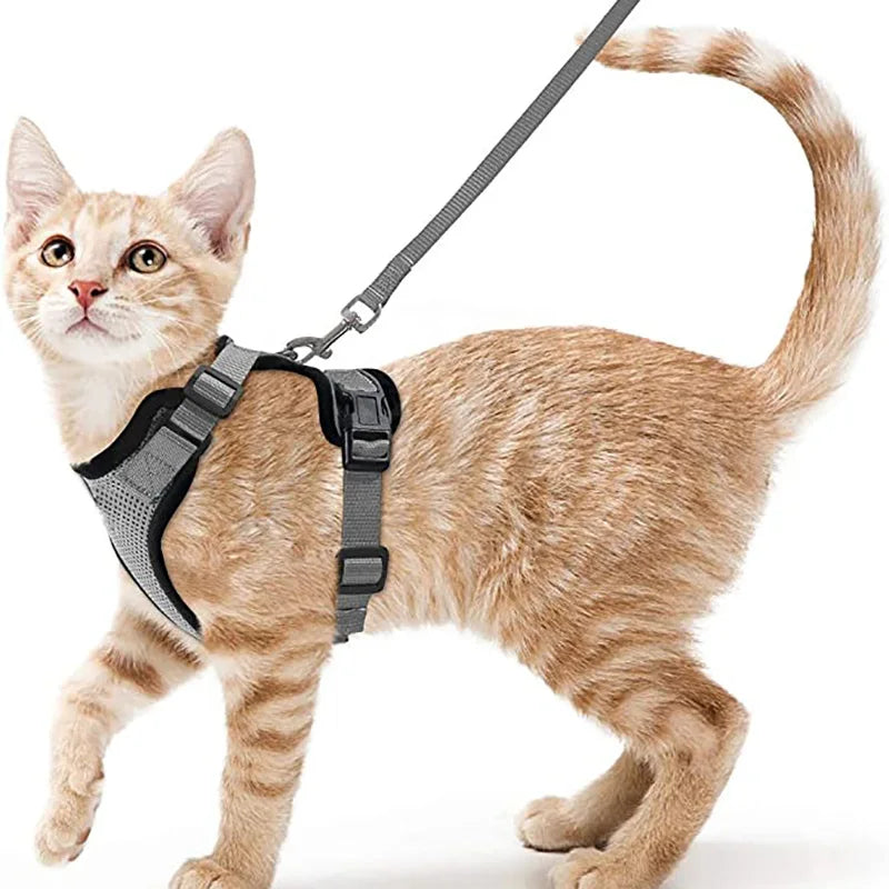 Cat Harness and Leash for Walking, Escape Proof Soft Adjustable