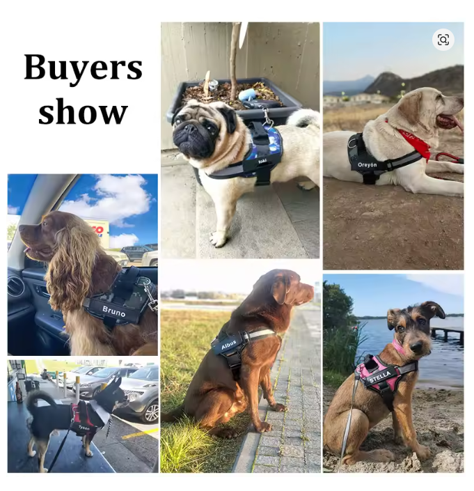 Personalized Dog Harness NO PULL Reflective Breathable Adjustable