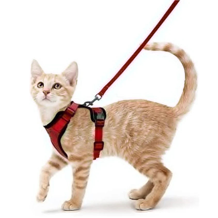 Cat Harness and Leash for Walking, Escape Proof Soft Adjustable