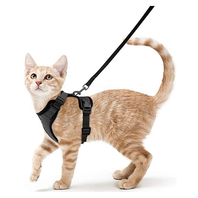 Cat Harness and Leash for Walking, Escape Proof Soft Adjustable