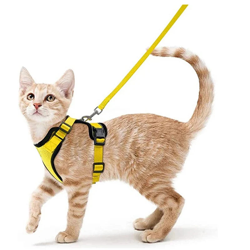 Cat Harness and Leash for Walking, Escape Proof Soft Adjustable