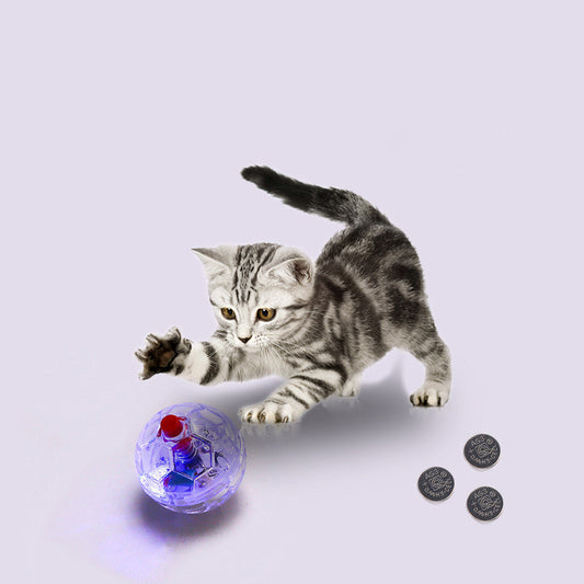 Cat Dog Toy Ball Transparent Plastic Ball