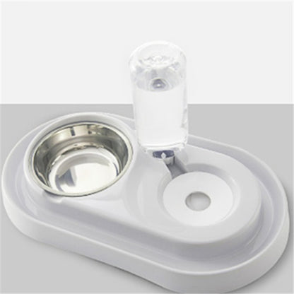 Dog and cat bowl