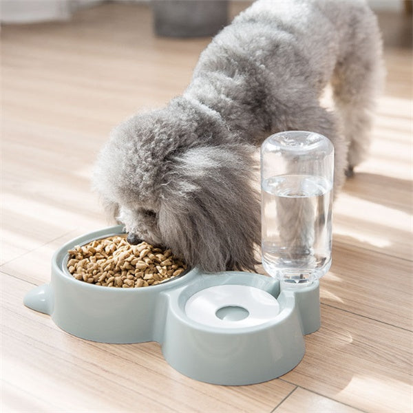Dog and cat bowl
