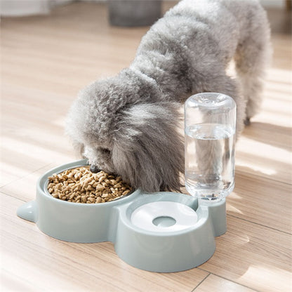 Dog and cat bowl
