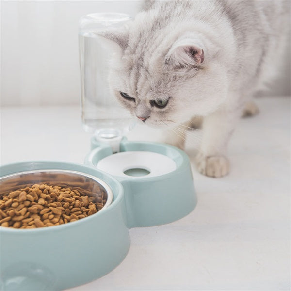 Dog and cat bowl
