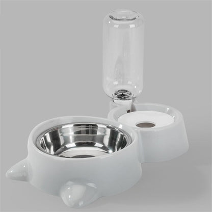 Dog and cat bowl