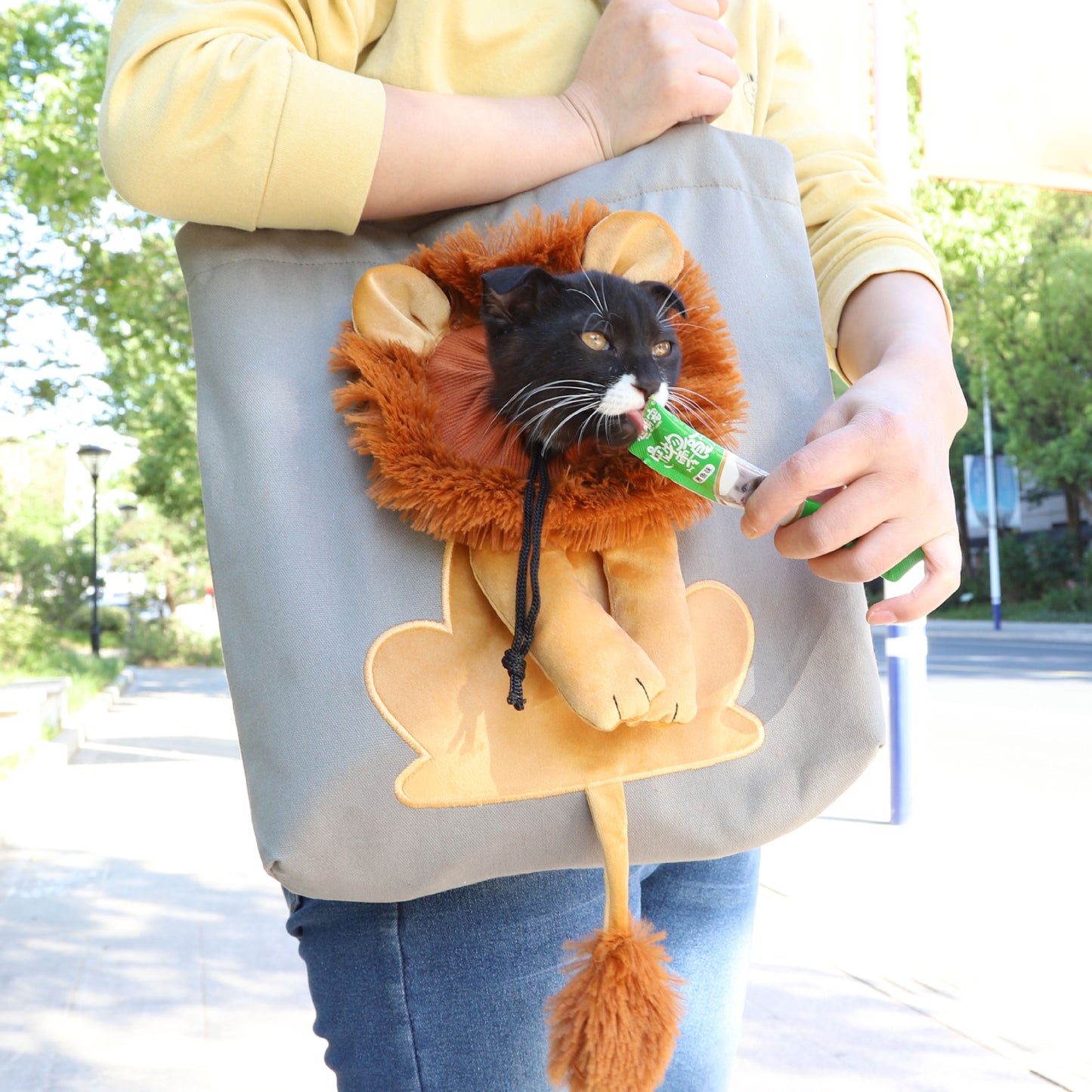 Soft Pet Carriers Lion Design Portable Bag
