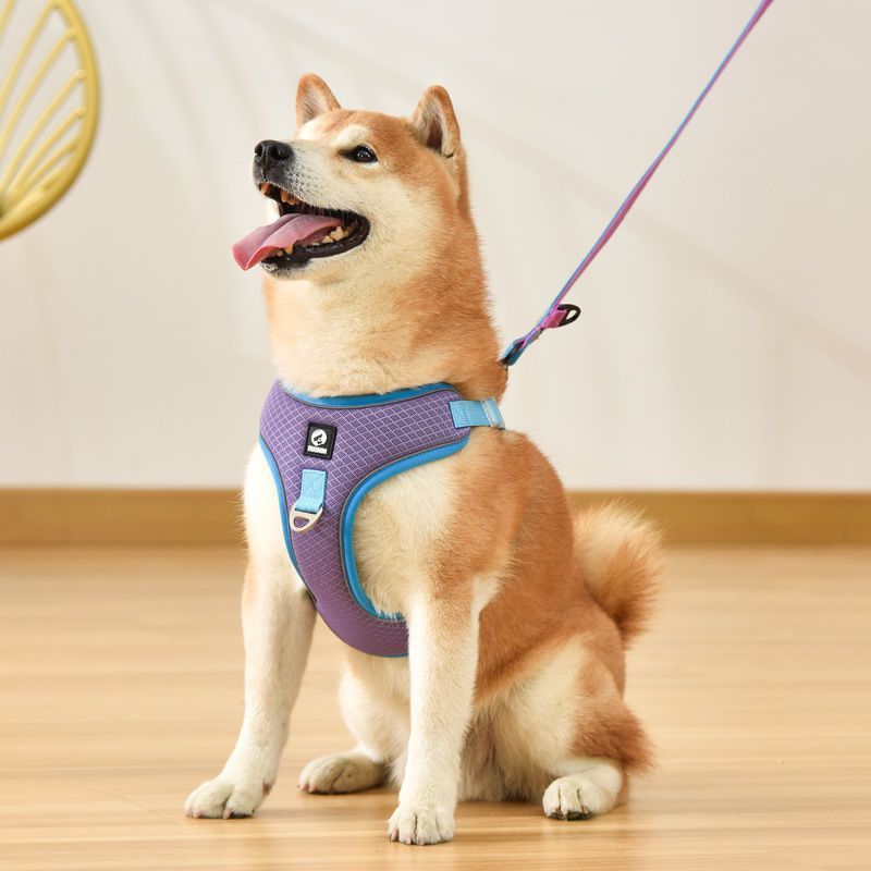 Pet Dog Harness Puppy Adjustable