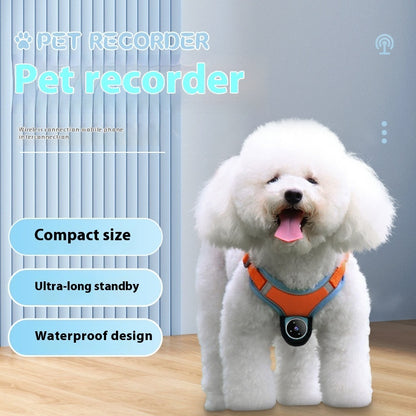 Pets Camera With Video Recorder & Tracker Collar Dogs And Cats