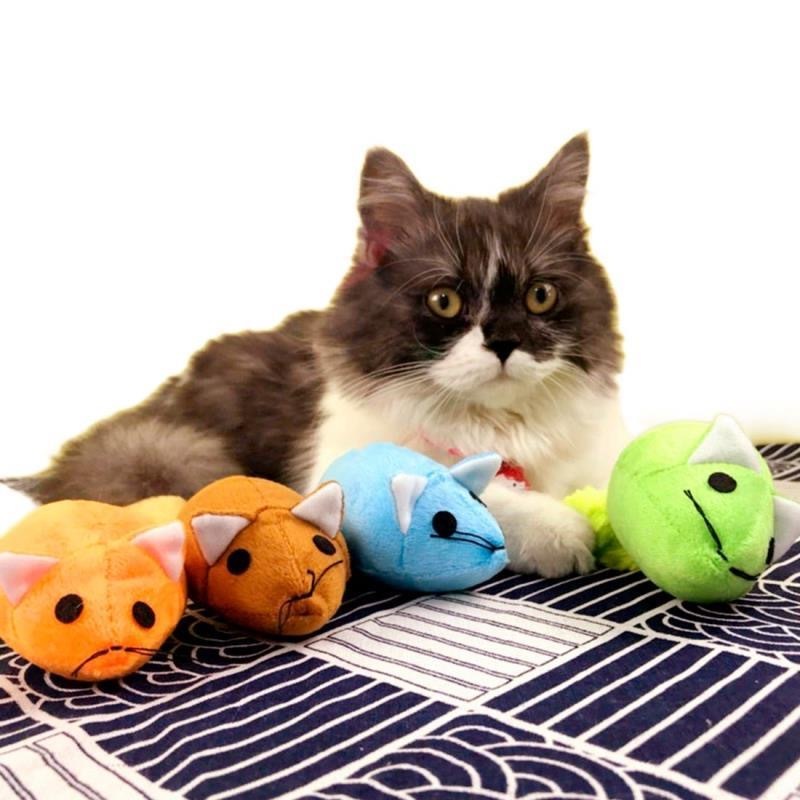 Long Tail Mouse Cat Teaster Toys Funny