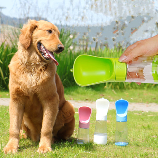 Water Cup To Drink From An Outdoor Water Fountain