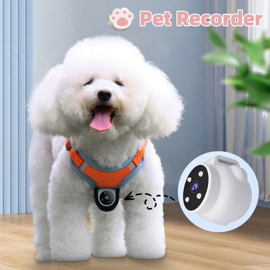 Pets Camera With Video Recorder & Tracker Collar Dogs And Cats