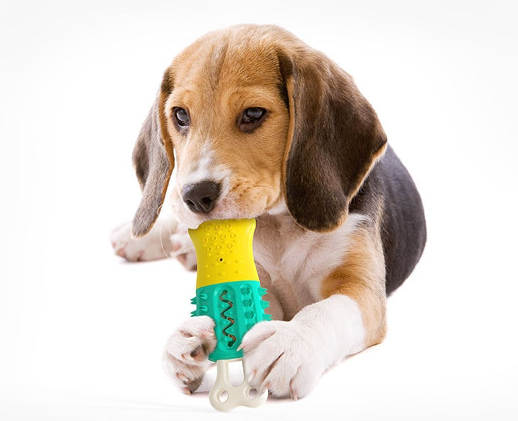 Cleaning  Care  Teeth Pet Chewing Supplies