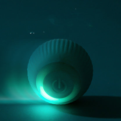 USB Rechargeable Gravity Electric Rolling Ball for Cat Toy
